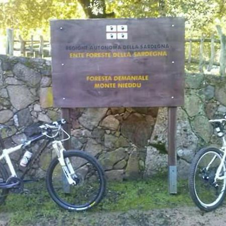 B&B Il Vigneto Capoterra Εξωτερικό φωτογραφία