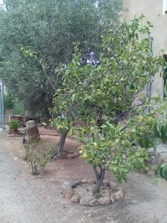 B&B Il Vigneto Capoterra Εξωτερικό φωτογραφία