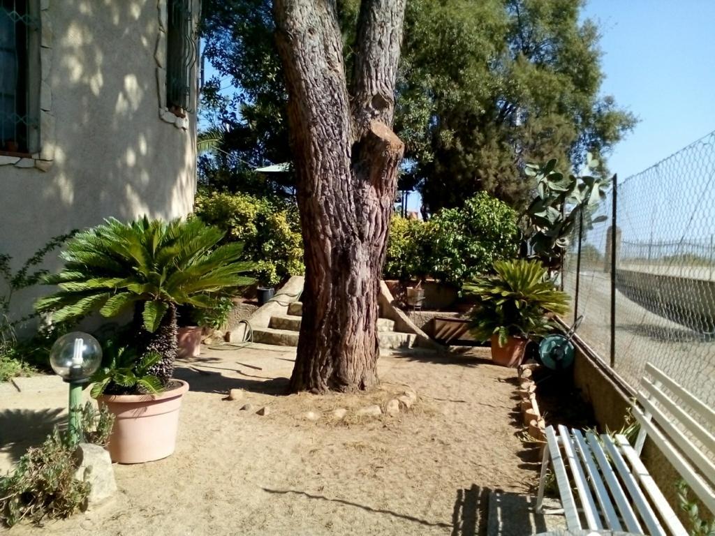 B&B Il Vigneto Capoterra Εξωτερικό φωτογραφία